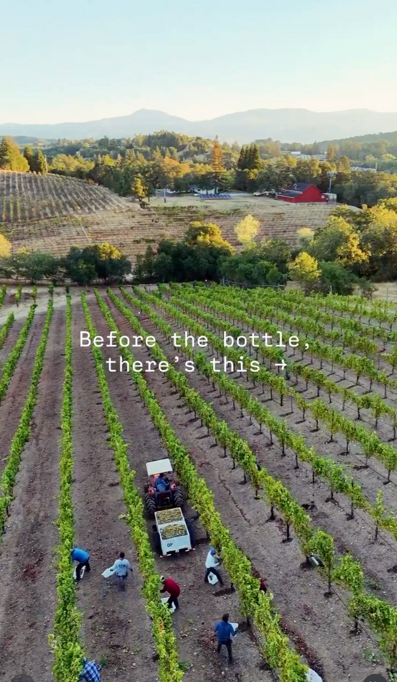 Bannister wines
